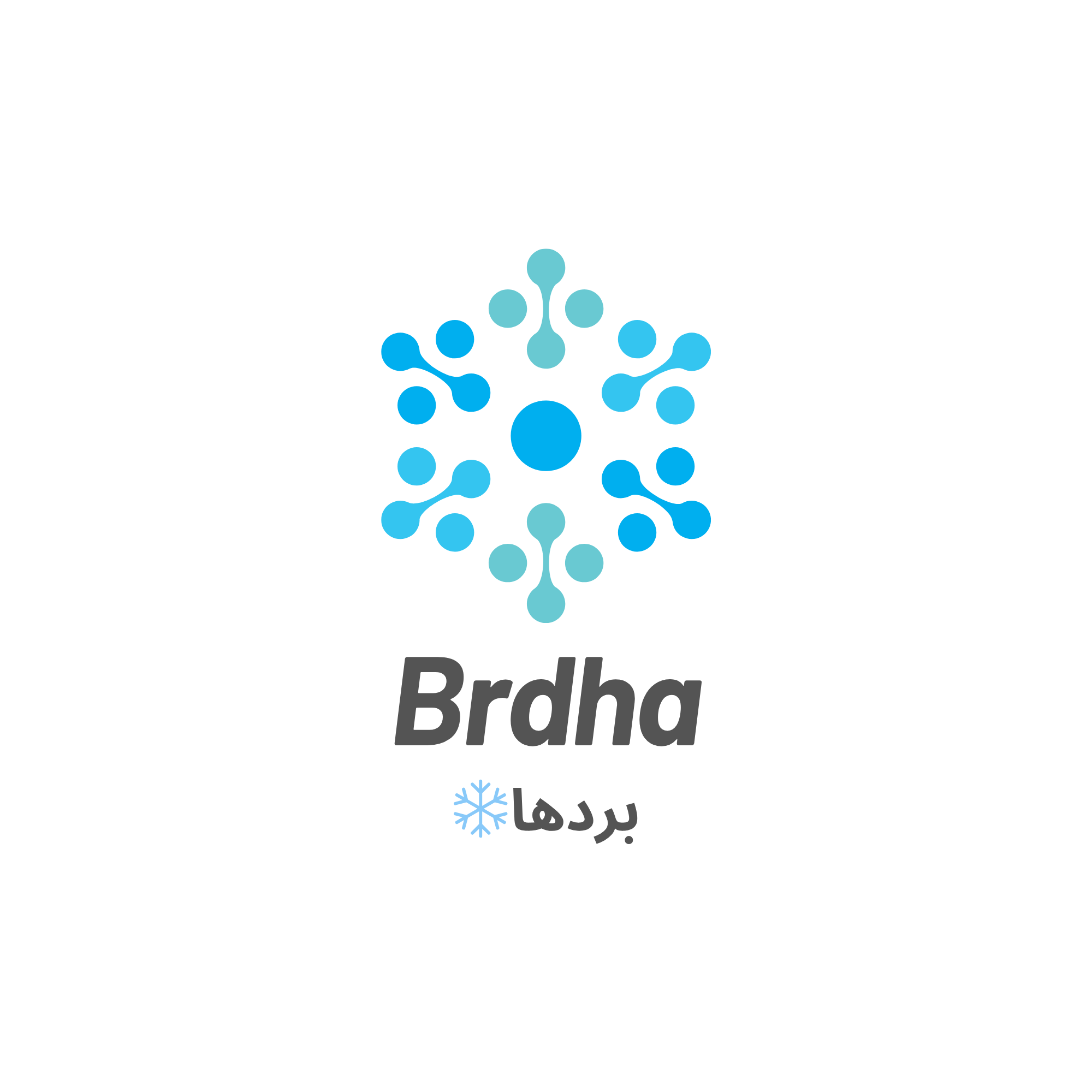 brdha store❄️
